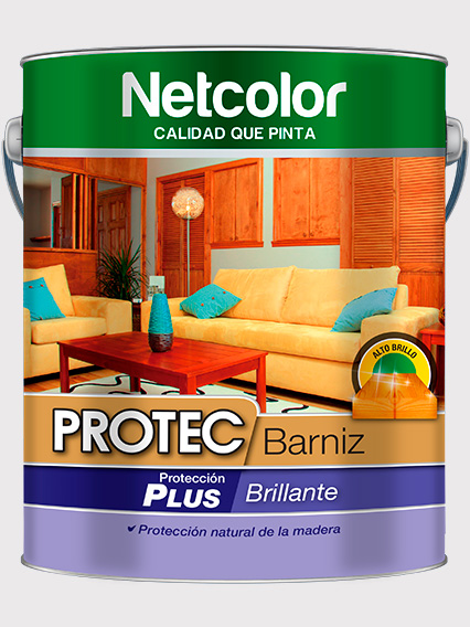 PROTEC BARNIZ BRILLANTE x 1/2 L